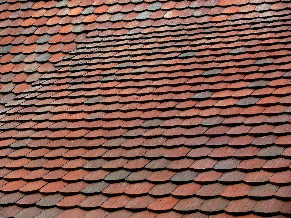 Pan de toiture en tuiles plates anciennes